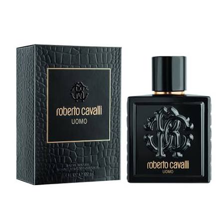 Roberto Cavalli Uomo Eau de Toilette 100ML